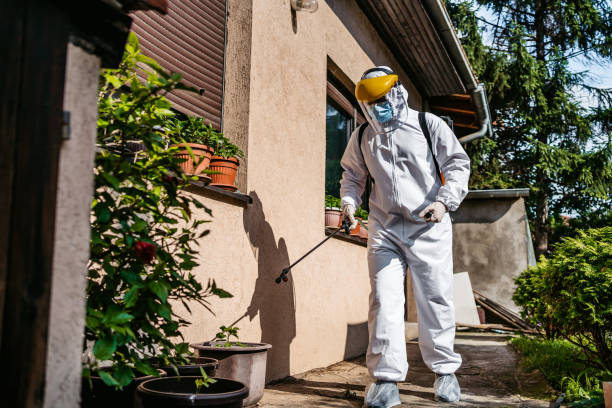 Best Affordable Pest Control Services  in Howard Lake, MN