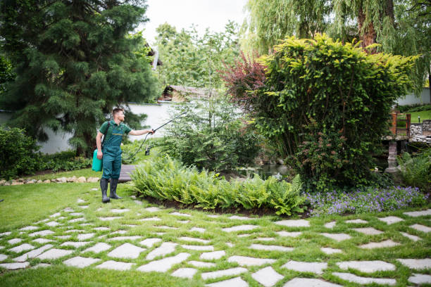 Reliable Howard Lake, MN Pest Control Solutions