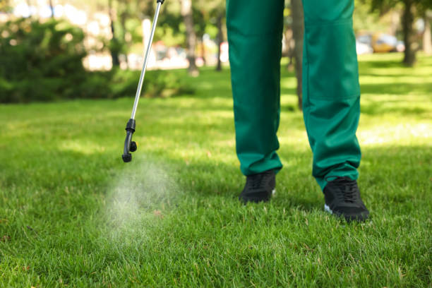 Best Bed Bug Extermination  in Howard Lake, MN