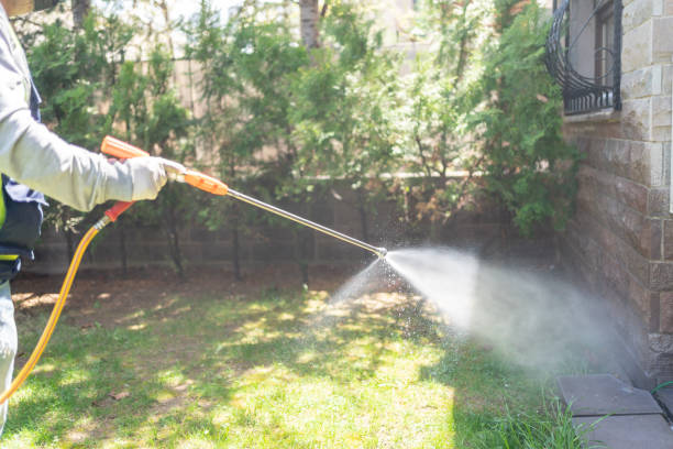 Bird Control in Howard Lake, MN