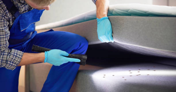 Pest Prevention Services in Howard Lake, MN