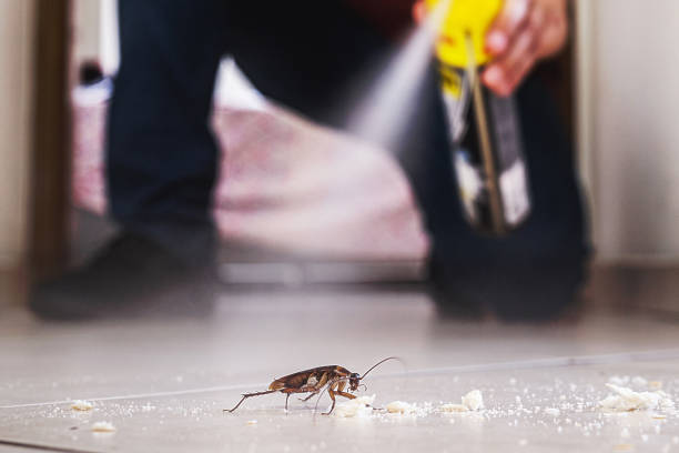 Reliable Howard Lake, MN Pest Control Solutions