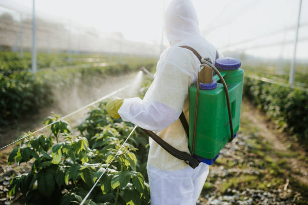 Best Best Pest Control Companies  in Howard Lake, MN